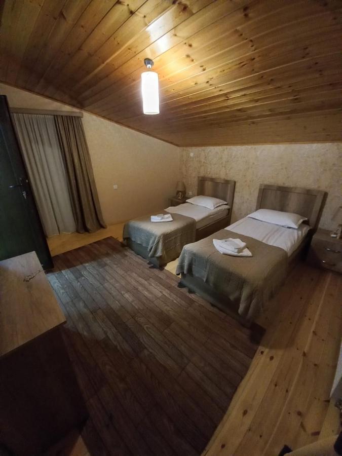 Hotel Four Season In Kazbegi Extérieur photo