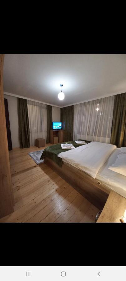 Hotel Four Season In Kazbegi Extérieur photo