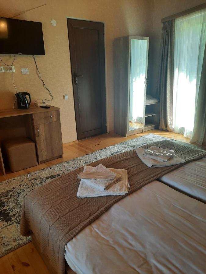 Hotel Four Season In Kazbegi Extérieur photo