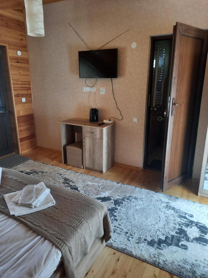 Hotel Four Season In Kazbegi Extérieur photo